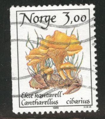 Norway Scott 888 used Mushroom stamp 1987