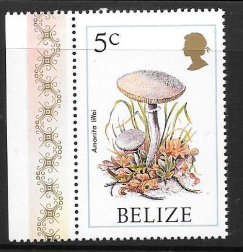 BELIZE SG962 1986 5c FUNGI MNH