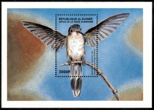 Guinea-Conakry 1999 - Hummingbirds - Souvenir Stamp Sheet - Scott #1591 - MNH