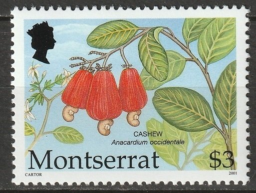 Montserrat 2001 Sc 1053 MNH**