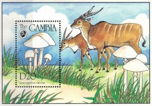 GAMBIA 1994 - Mushrooms / minisheet MNH