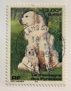 France 1999 Scott 2742 used - 3.00fr,  Domestic pets, Great Pyrenees Dog