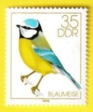 GERMANY DDR SCOTT#1980 1979 35pf EURASIAN BLUE TIT BIRD - MNH