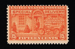 AFFORDABLE GENUINE SCOTT #E13 MINT PRISTINE OG NH 1925 SPECIAL DELIVERY #18953