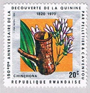 Rwanda Flowers 20 - wysiwyg (AP111517)