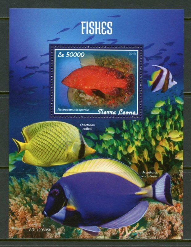 SIERRA LEONE 2019  FISHES  SOUVENIR SHEET MINT NEVER HINGED