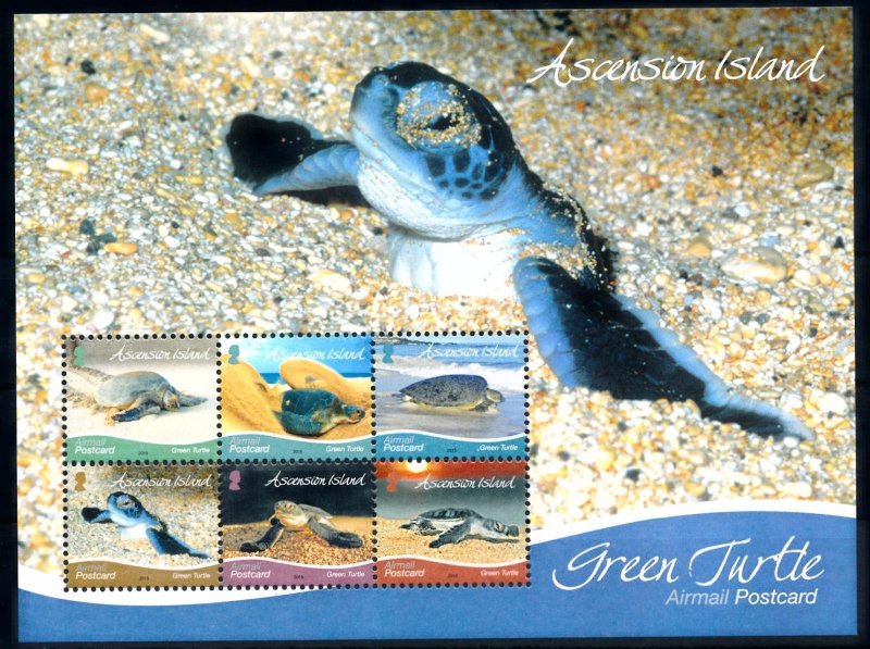 [66837] Ascension 2015 Marine life Green turtle Sheet MNH