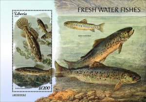 LIBERIA- 2023 - Freshwater Fish - Perf Souv Sheet - Mint Never Hinged