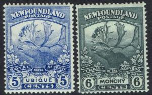 NEWFOUNDLAND 1919 CARIBOU 5C AND 6C 