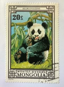 Mongolia 1974 Scott 789 CTO - 20m,  Bears, Giant Panda