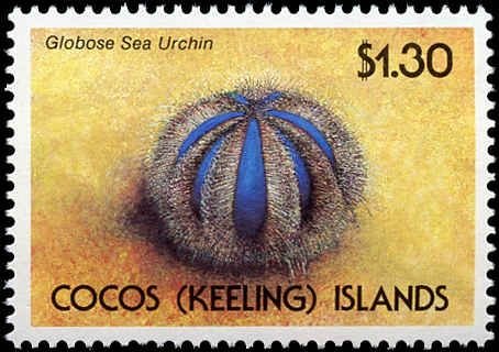 Cocos Islands #237-240, Complete Set(4), 1991, Marine Life, Never Hinged