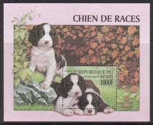 Benin 1998 Dog Spaniel SS VF MNH (1093)