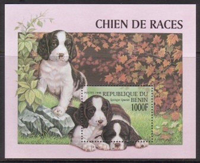 Benin 1998 Dog Spaniel SS VF MNH (1093)