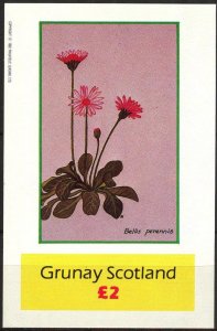 {G025} Grunay Scotland Flowers (1) S/S 2£ MNH Cinderella !!