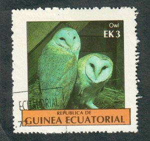 Equatorial Guinea Owls used single