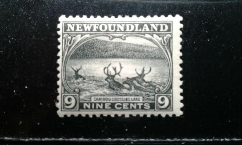  Newfoundland #138 mint hinged e192.3658