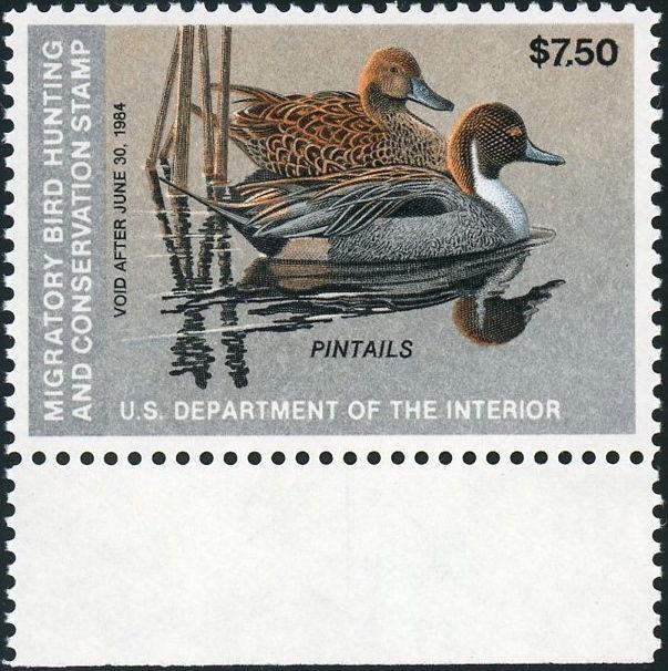 US Duck Stamp RW50 1983 XF 90 - Cert  MNH   S872 