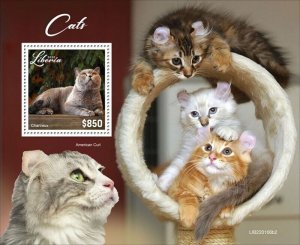 Liberia - 2022 Cat Breeds - Stamp Souvenir Sheet - LIB220106b2