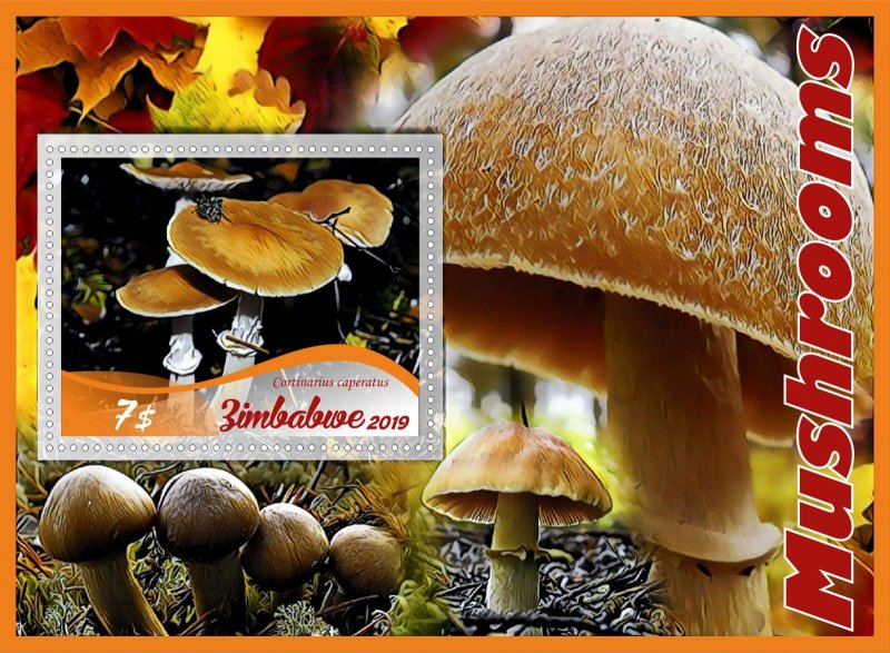 Mushrooms 8 sheets perforated  NEW