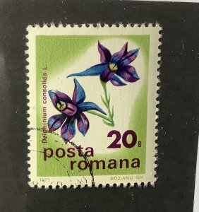 Romania 1975 Scott 2575  CTO - 20b,  Flowers,  Larkspurs