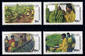 [66268] Venda 1980 Flora Fruits Banana Plants Processing  MNH