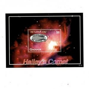 Grenada - 2007 - Halley's Comet - Souvenir Sheet - MNH