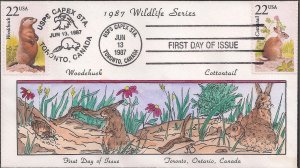 Van Natta Hand Painted Dual Combo FDC for the 1987 North American Wildlife Issue