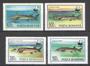 OZ0442 1994 ROMANIA FAUNA WWF FISHES MARINE LIFE #5034-37 SET MNH