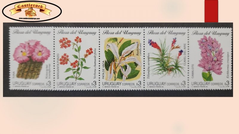 O) 1995 URUGUAY, FLOWERS, CACTUS, NOTOCACTUS, VERBENA, BAUHINIA, TILLANDSIA, E
