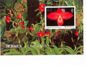Jersey, Postage Stamp, #1129b Mint NH, 2004 Flower, Orchids