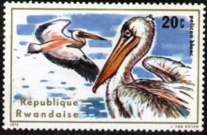Bird, White Pelicans, Rwanda stamp SC#652 mint