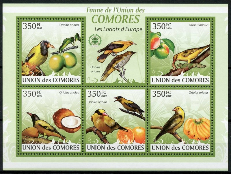 Comoros Birds on Stamps 2009 MNH Orioles Fruits Coconuts Fauna Nature 5v M/S