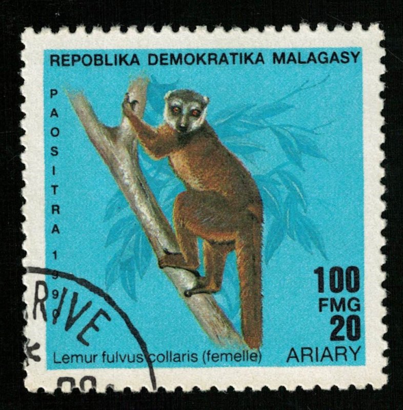 Lemur, 100 FMG, 20 ARIARY (T-6620)