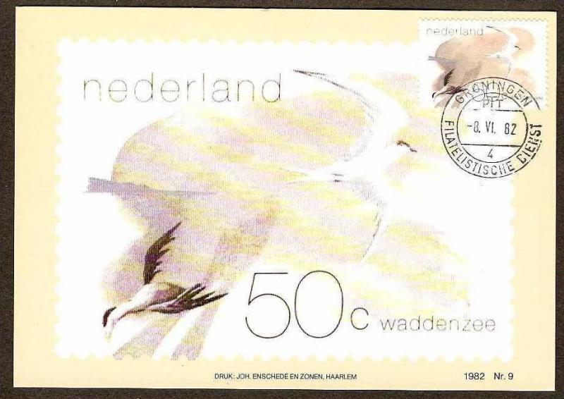 NETHERLAND 1982 COTTON WOOL SEA, BIRDS SET OF 2 MAXIMUM CARDS # 7836