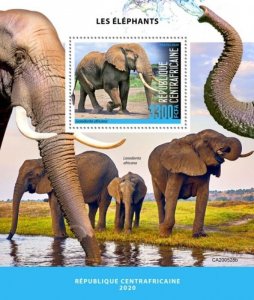 Central Africa - 2020 African Bush Elephants - Souvenir Sheet - CA200528b