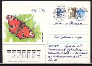 Russia, 25/DEC/90 issue. Butterfly Postal Envelope. USED. ^