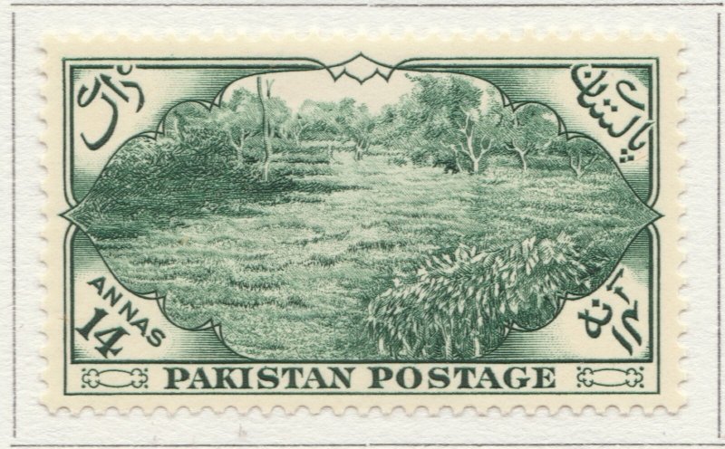 1954 PAKISTAN 14aMH* Stamp A4P9F39362-