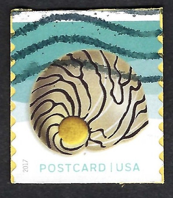 United States #5168 PC Rate (34¢) Shell - Zebra Nerite (2017). On paper. Used.