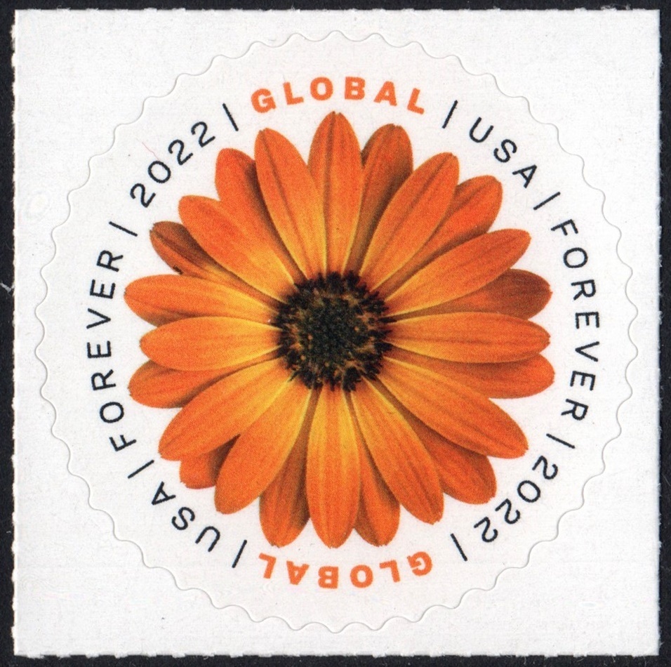 USPS African Daisy 2022 (Sheet Of 10) International Mail Global Postage Forever Stamps Scott #5680