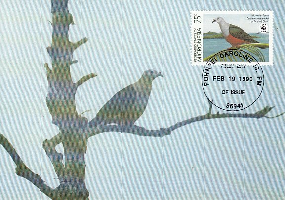 Micronesia 1990 Maxicard Sc #109 25c Micronesian pigeon WWF