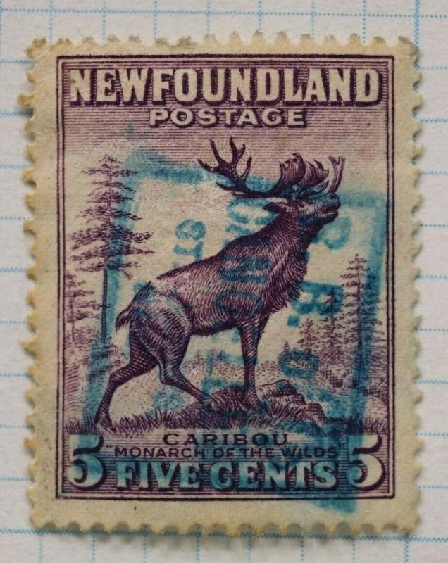 Newfoundland sc#191 used 5c SOTN SON R. B of C. St John's blue ink box cancelled