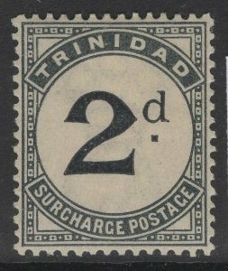 TRINIDAD SGD3 1885 2d SLATE-BLACK POSTAGE DUE MTD MINT