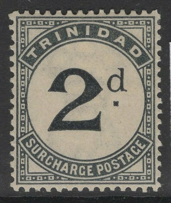 TRINIDAD SGD3 1885 2d SLATE-BLACK POSTAGE DUE MTD MINT