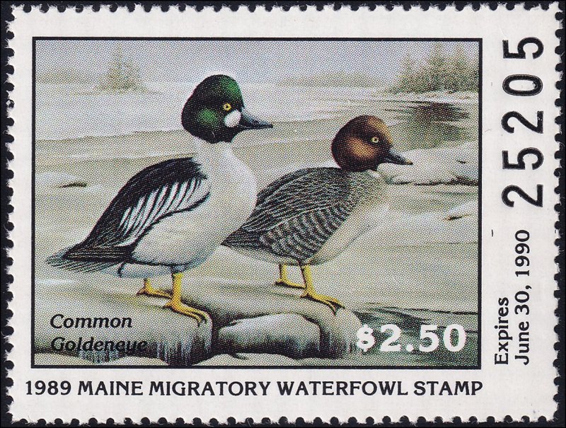 US Maine M6, Duck Stamp, Mint, OG, Never Hinged