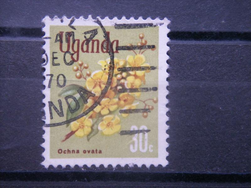 UGANDA, 1969, used 30c, Flowers Scott 119