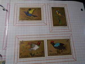 Fujeira  Unlisted  used   Birds