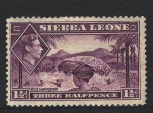 Sierra Leone Sc#175A MH