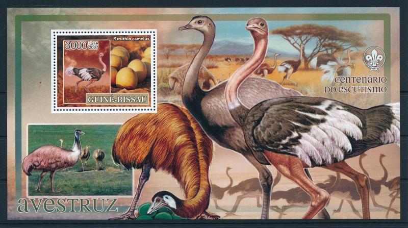 [96527] Guinea Bissau 2007 Birds Vögel Oiseaux Ostrich Sheet MNH
