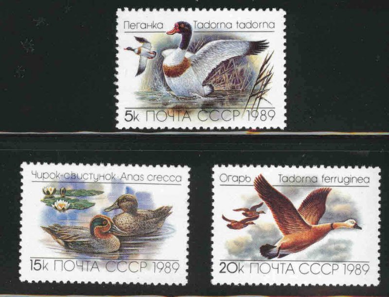 Russia Scott 5783-5785 MNH*** 1989 Duck bird set