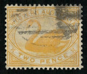 Black Swan, Western Australia, two penny (T-9208)